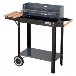 Gratar pe carbuni MasterGrill MG909, 53х27 cm, Maner transport, 2 rafturi, 2 rotite, Negru