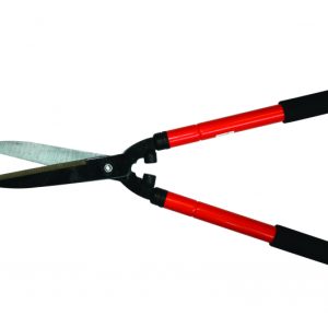 Forafeca gard viu 600-800mm TG TopGarden